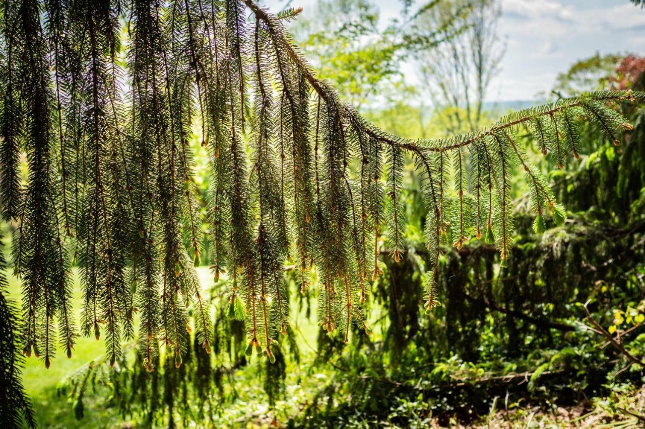 Gemuetliches, Heimeliges Ferienhaus Gars am Kamp Luaran gambar
